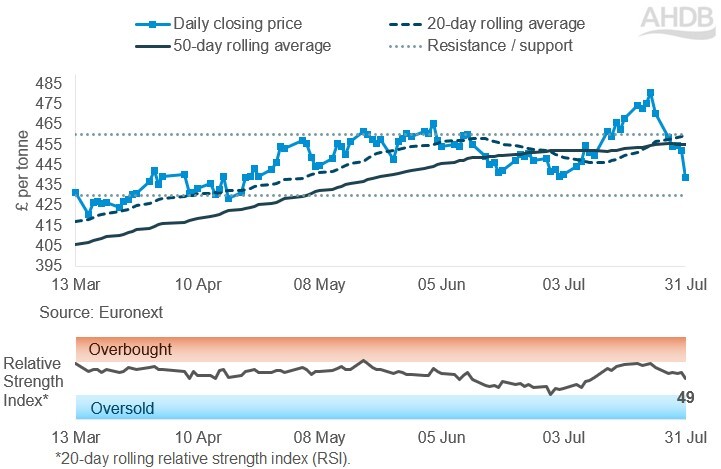 Line graph of Rapeseed futures Nov-26 contract prices over the past six months.